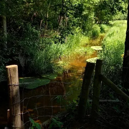 度假居 Kukeluusje Ermelo, Moderne En Comfortabele Vakantiewoning Op De Veluwe!
