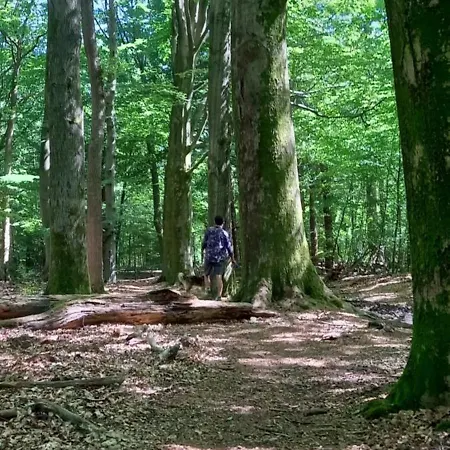 Kukeluusje Ermelo, Moderne En Comfortabele Vakantiewoning Op De Veluwe!