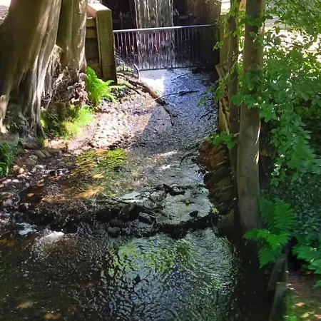 Kukeluusje Ermelo, Moderne En Comfortabele Vakantiewoning Op De Veluwe! 度假居