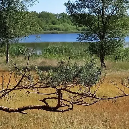 Kukeluusje Ermelo, Moderne En Comfortabele Vakantiewoning Op De Veluwe! Feriehus Ermelo
