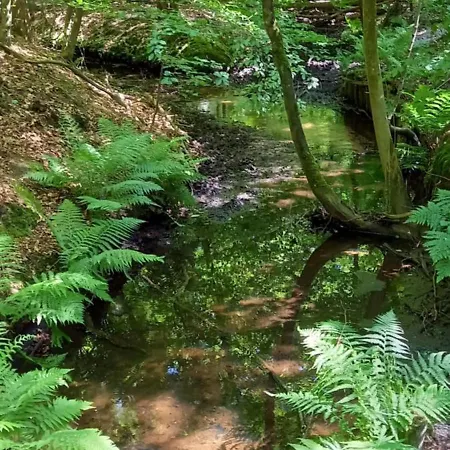 Kukeluusje Ermelo, Moderne En Comfortabele Vakantiewoning Op De Veluwe! 度假居 埃尔默洛