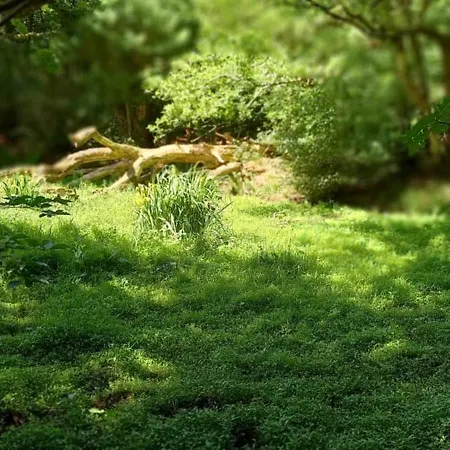 Feriehus Kukeluusje Ermelo, Moderne En Comfortabele Vakantiewoning Op De Veluwe! Ermelo