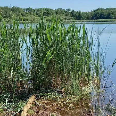 Kukeluusje Ermelo, Moderne En Comfortabele Vakantiewoning Op De Veluwe! * Ermelo