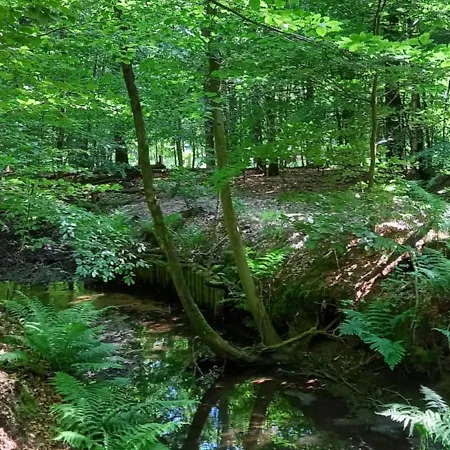 度假居 Kukeluusje Ermelo, Moderne En Comfortabele Vakantiewoning Op De Veluwe! *