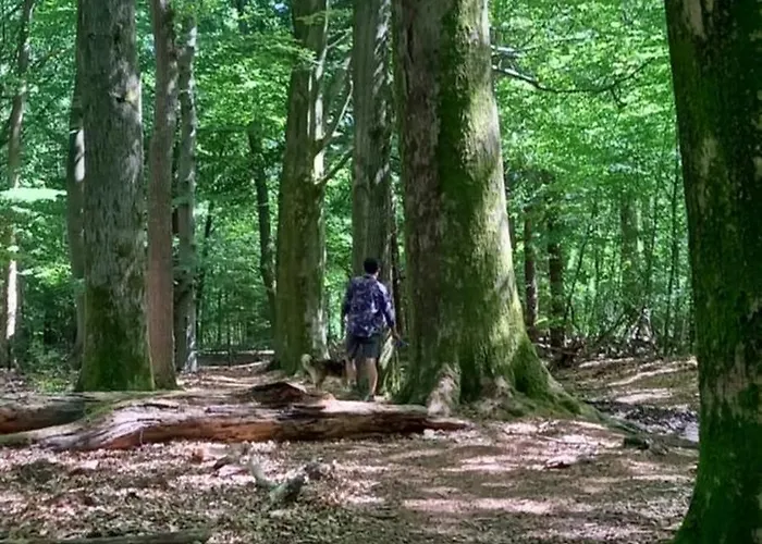 Kukeluusje Ermelo, Moderne En Comfortabele Vakantiewoning Op De Veluwe!