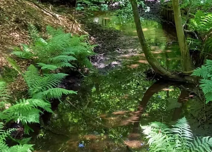 Kukeluusje Ermelo, Moderne En Comfortabele Vakantiewoning Op De Veluwe! Vakantiehuis Ermelo