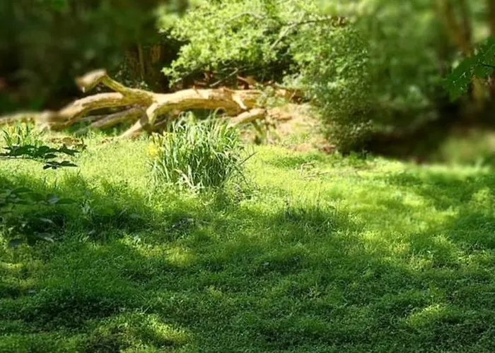 Vakantiehuis Kukeluusje Ermelo, Moderne En Comfortabele Vakantiewoning Op De Veluwe! Ermelo