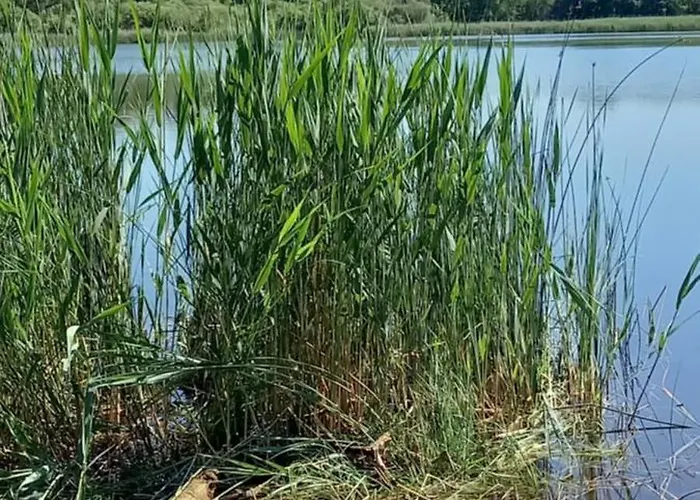 Kukeluusje Ermelo, Moderne En Comfortabele Vakantiewoning Op De Veluwe! * Ermelo