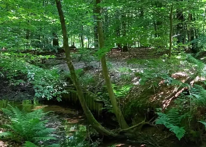 Vakantiehuis Kukeluusje Ermelo, Moderne En Comfortabele Vakantiewoning Op De Veluwe! *