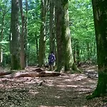 Kukeluusje Ermelo, Moderne En Comfortabele Vakantiewoning Op De Veluwe!