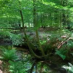 Holiday home Kukeluusje Ermelo, Moderne En Comfortabele Vakantiewoning Op De Veluwe! *